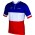 FRANCAISE DES JEUX(FDJ) Französischer Meister 2014/2015 Kurzarmtrikot(kurzer Reißverschluss)-B'TWIN