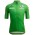 Tour de France 2022 grünes Trikot(maillot vert,bester Sprinter) Radtrikot kurzarm